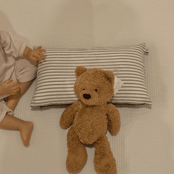 Danda Bambam Pillow Cover